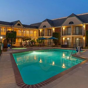 Pool Side King Suite